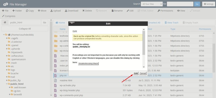 The-Link-You-Followed-Has-Expired-Error-in-WordPress-character-encoding-php.ini